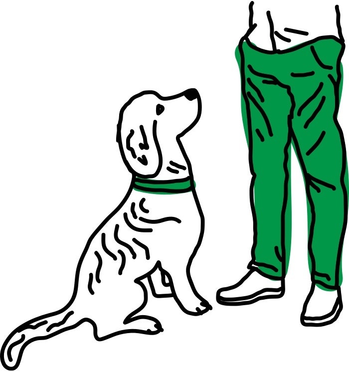 Tips for Caring for Large Dogs