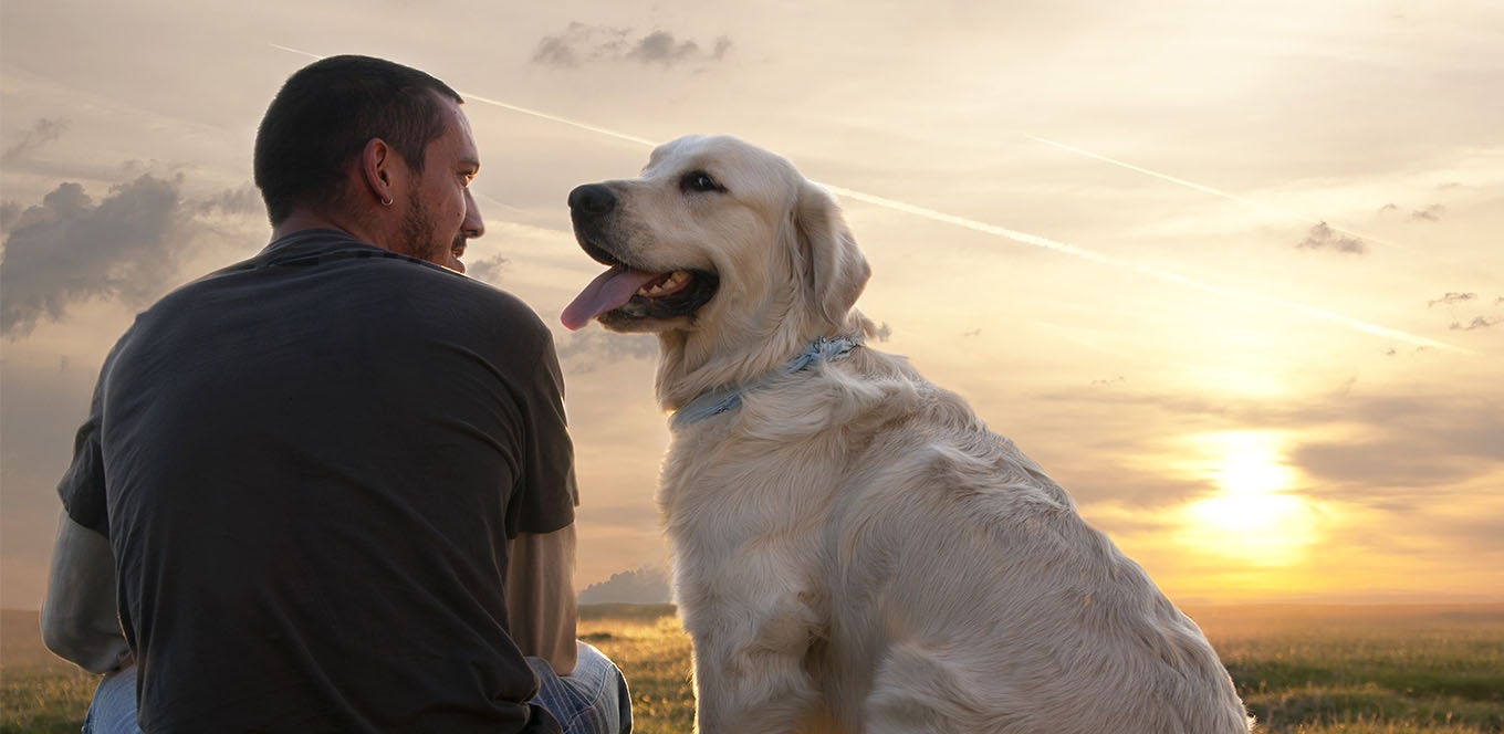 Understanding Common Dog Food Ingredients