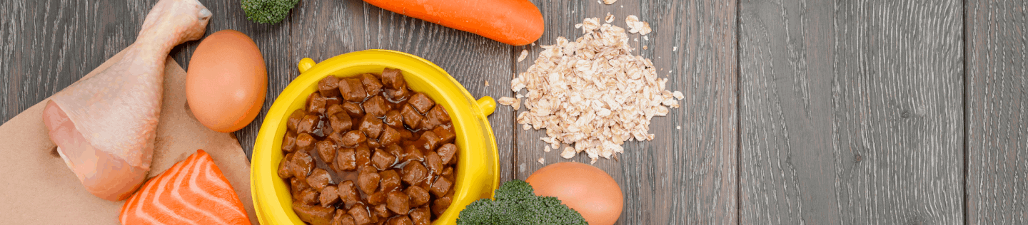 Nutrisi Kucing dan Pentingnya Protein untuk Kucing