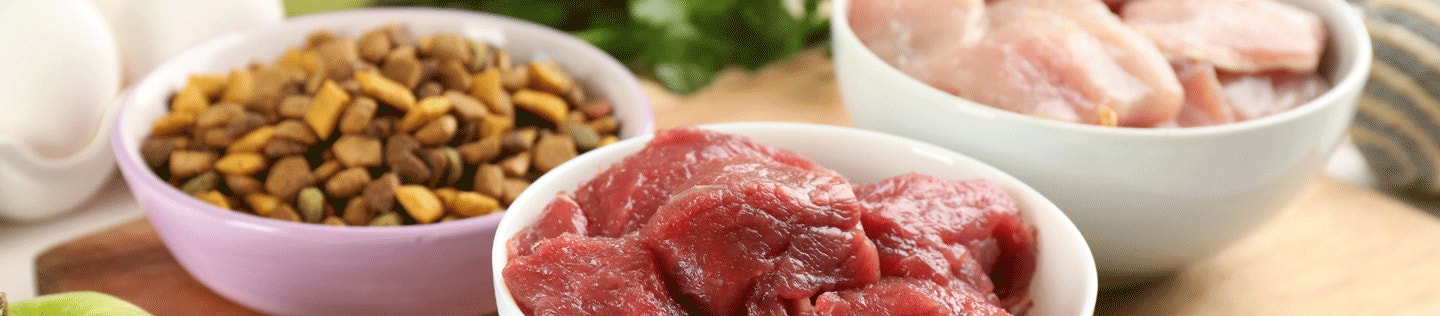 Important Nutrients in Our Dog Foods