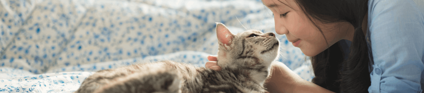 Harapan Hidup Kucing: Apa Yang Mempengaruhi Usia Kucing Anda?