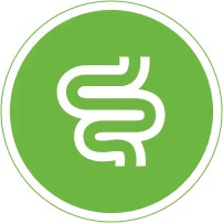 Healthy Digestion icon