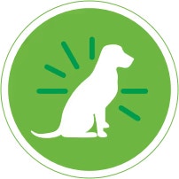 Healthy Skin and Coat icon