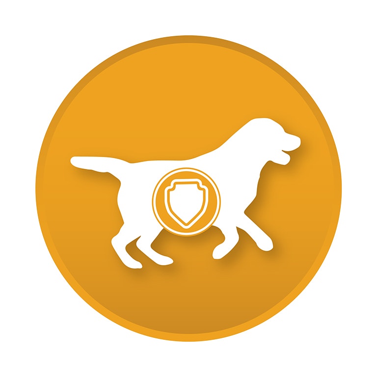 <p><strong>Membantu melawan infeksi:</strong> Vitamin E dan C yang terdapat dalam IAMS™ Proactive Health™ Suplemen untuk Sistem Imun yang Sehat membantu anjing Anda melawan infeksi bakteri, virus, jamur, dan parasit.</p>