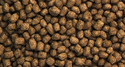 Makanan Siap Saji untuk Anjing Dewasa