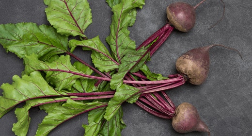 How Beet Pulp Ingredients Are Used in Our Dog Foods