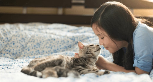 Harapan Hidup Kucing: Apa Yang Mempengaruhi Usia Kucing Anda?