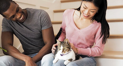 Cara Merawat Kucing Baru Lahir: 8 Tips Membesarkan Anak Kucing agar Sehat Terawat