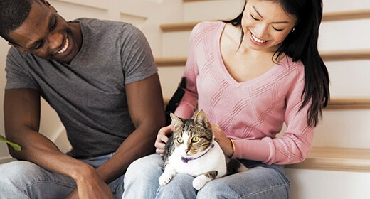 vet approved tips image